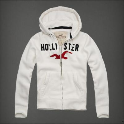 Hollister Men Hoodies-11